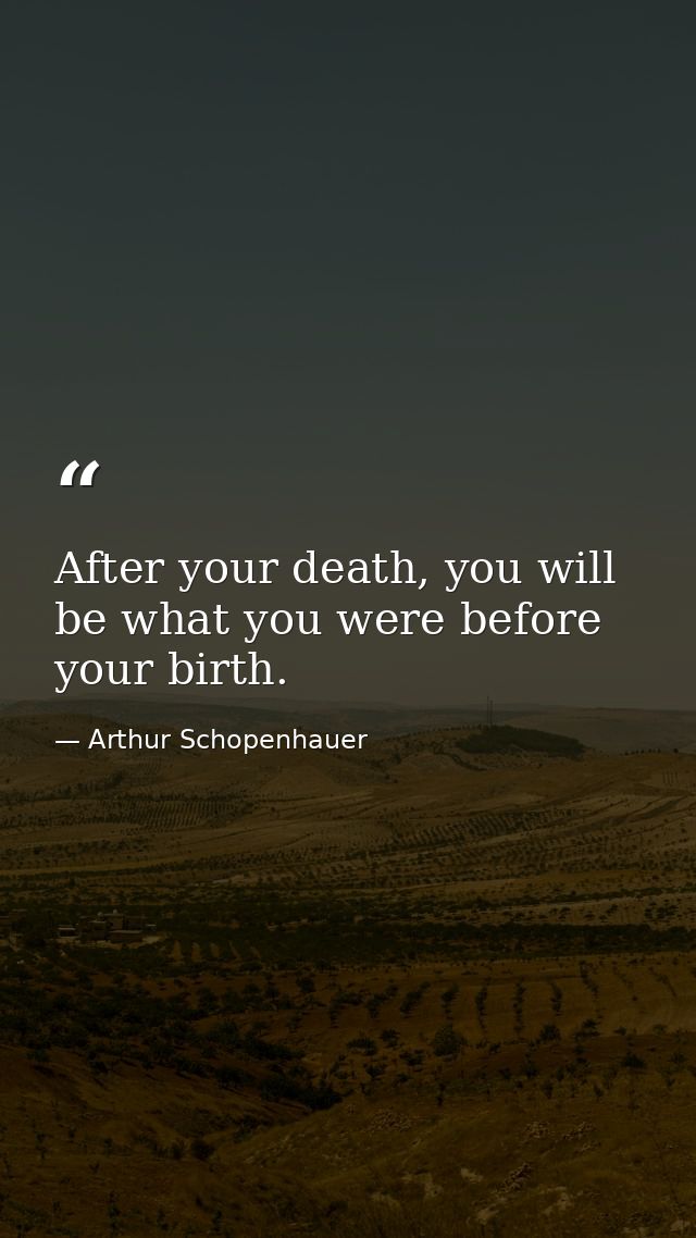 After your death, you will be what you were before your birth. — Arthur Schopenhauer
