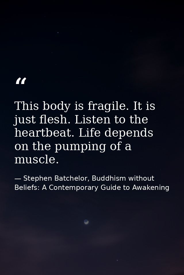 This body is fragile. It is just flesh. Listen to the heartbeat. Life depends on the pumping of a muscle. — Stephen Batchelor, Buddhism without Beliefs: A Contemporary Guide to Awakening