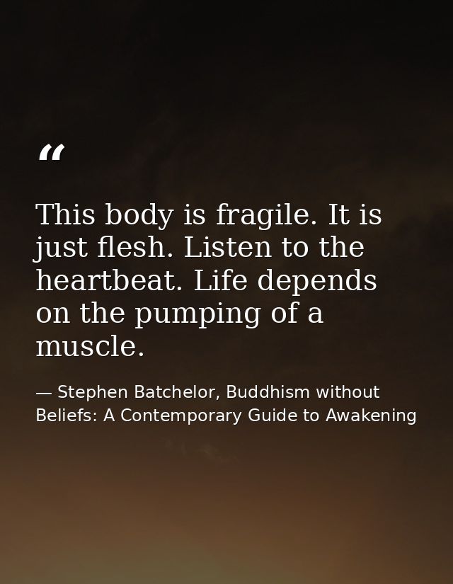 This body is fragile. It is just flesh. Listen to the heartbeat. Life depends on the pumping of a muscle. — Stephen Batchelor, Buddhism without Beliefs: A Contemporary Guide to Awakening