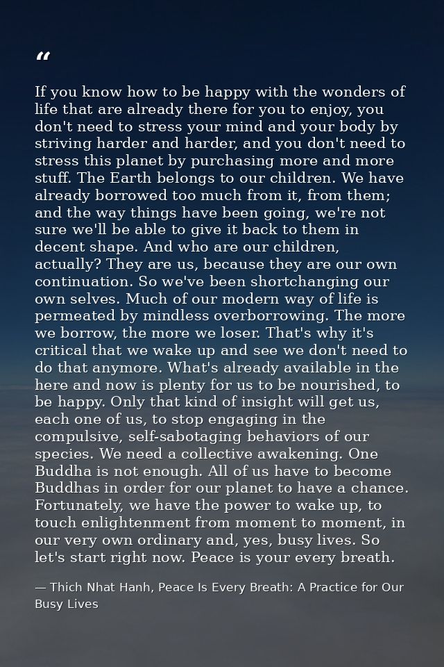 If you know how to be happy with the wonders of life that are already there for you to enjoy, you don't need to stress y — Thich Nhat Hanh, Peace Is Every Breath: A Practice for Our Busy Lives