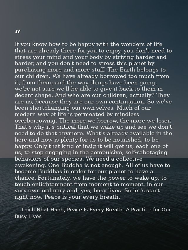 If you know how to be happy with the wonders of life that are already there for you to enjoy, you don't need to stress y — Thich Nhat Hanh, Peace Is Every Breath: A Practice for Our Busy Lives