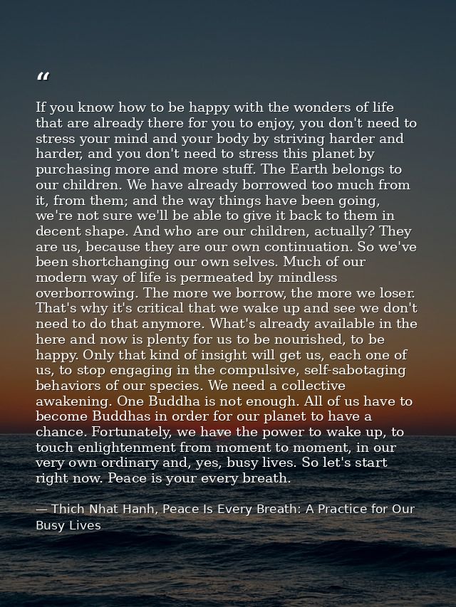 If you know how to be happy with the wonders of life that are already there for you to enjoy, you don't need to stress y — Thich Nhat Hanh, Peace Is Every Breath: A Practice for Our Busy Lives