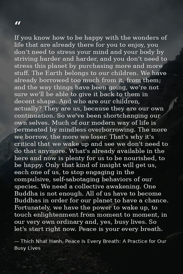 If you know how to be happy with the wonders of life that are already there for you to enjoy, you don't need to stress y — Thich Nhat Hanh, Peace Is Every Breath: A Practice for Our Busy Lives
