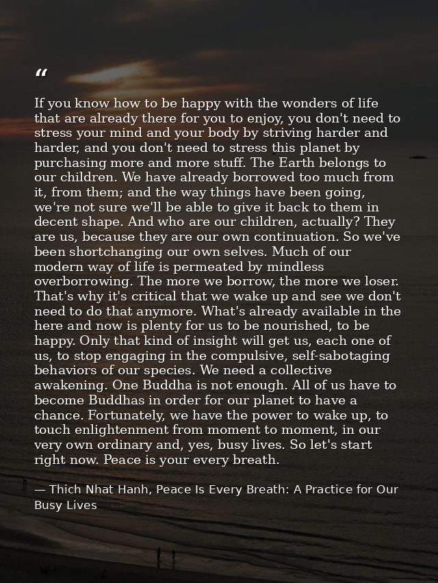 If you know how to be happy with the wonders of life that are already there for you to enjoy, you don't need to stress y — Thich Nhat Hanh, Peace Is Every Breath: A Practice for Our Busy Lives