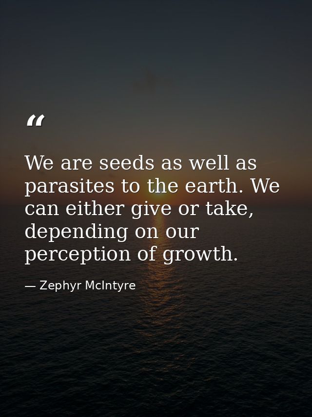 We are seeds as well as parasites to the earth. We can either give or take, depending on our perception of growth. — Zephyr McIntyre