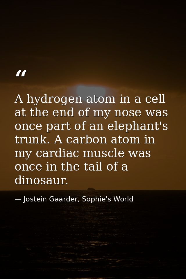 A hydrogen atom in a cell at the end of my nose was once part of an elephant's trunk. A carbon atom in my cardiac muscle — Jostein Gaarder, Sophie's World