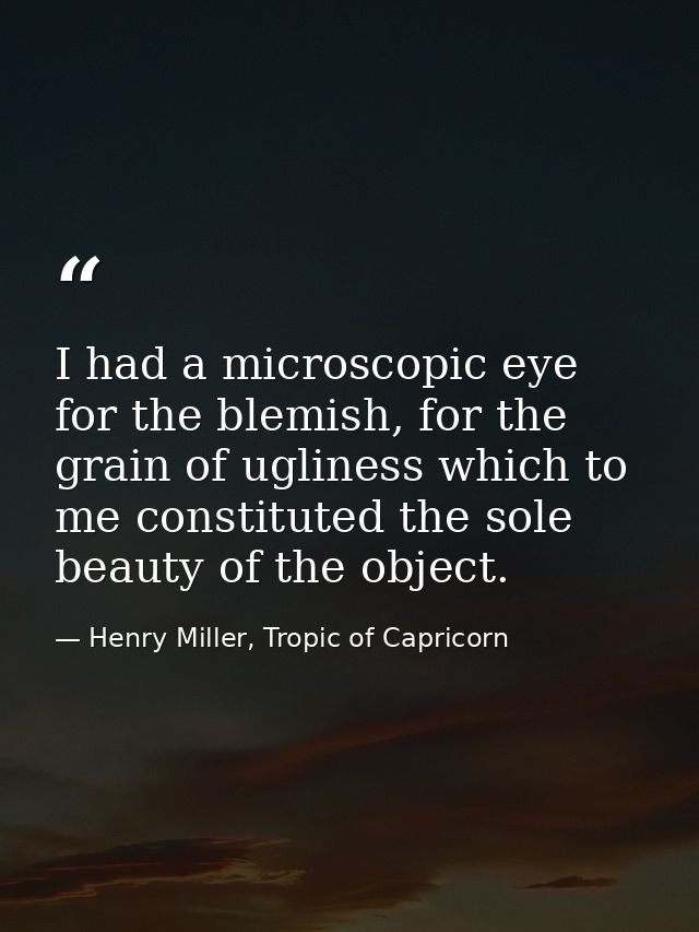 I had a microscopic eye for the blemish, for the grain of ugliness which to me constituted the sole beauty of the object — Henry Miller, Tropic of Capricorn