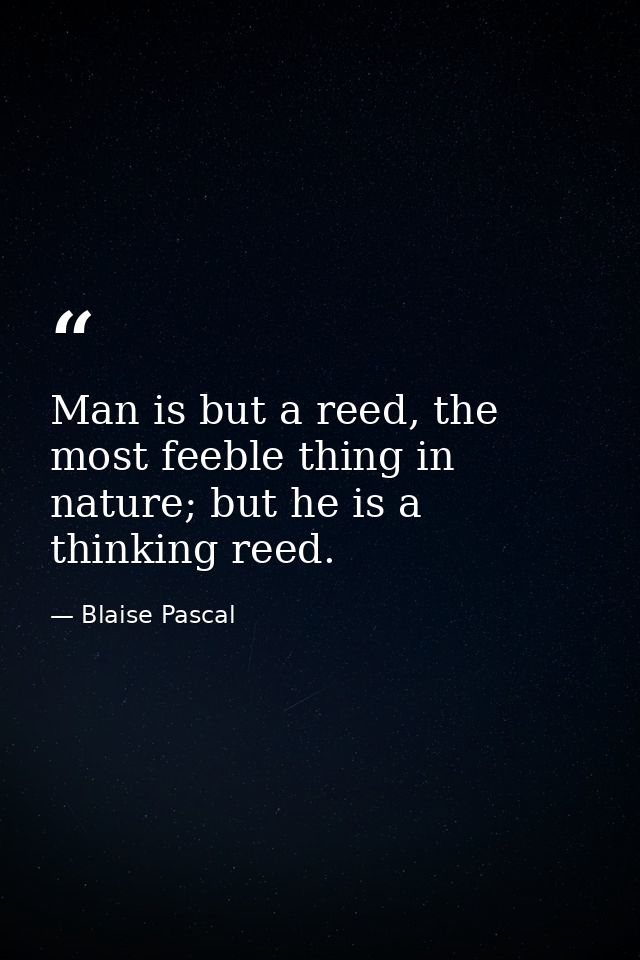 Man is but a reed, the most feeble thing in nature; but he is a thinking reed. — Blaise Pascal