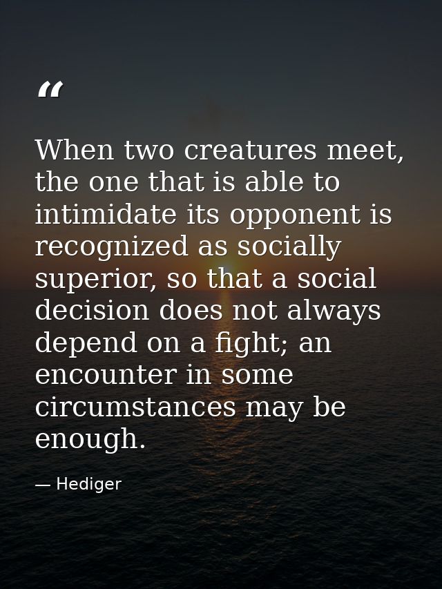 When two creatures meet, the one that is able to intimidate its opponent is recognized as socially superior, so that a s — Hediger