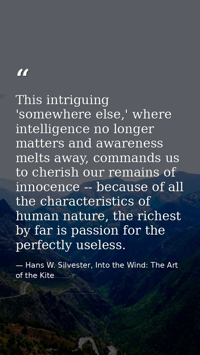 This intriguing 'somewhere else,' where intelligence no longer matters and awareness melts away, commands us to cherish  — Hans W. Silvester, Into the Wind: The Art of the Kite