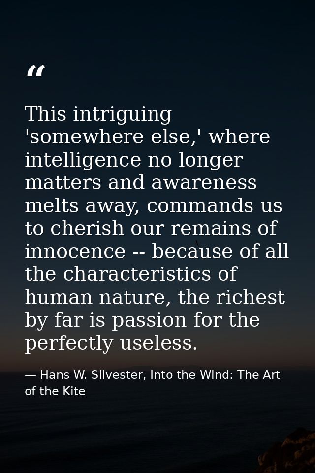 This intriguing 'somewhere else,' where intelligence no longer matters and awareness melts away, commands us to cherish  — Hans W. Silvester, Into the Wind: The Art of the Kite