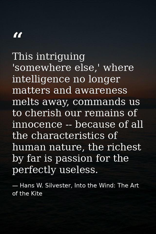 This intriguing 'somewhere else,' where intelligence no longer matters and awareness melts away, commands us to cherish  — Hans W. Silvester, Into the Wind: The Art of the Kite