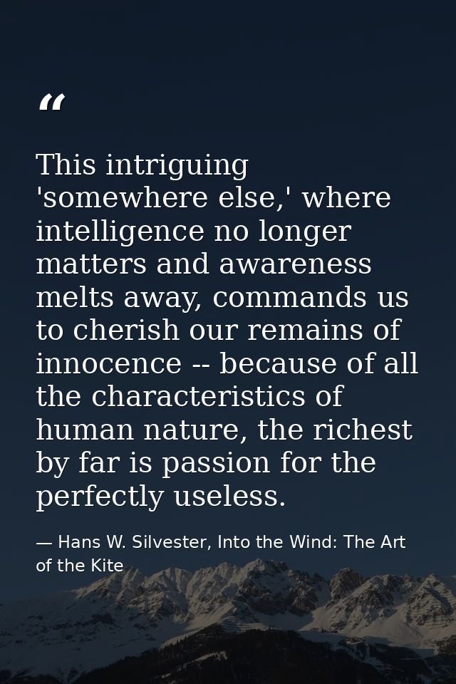 This intriguing 'somewhere else,' where intelligence no longer matters and awareness melts away, commands us to cherish  — Hans W. Silvester, Into the Wind: The Art of the Kite
