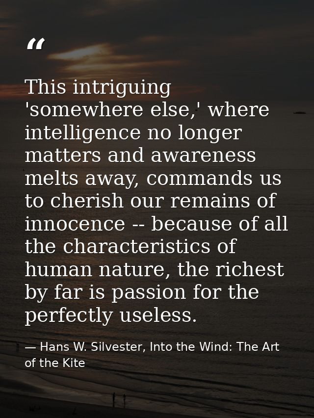 This intriguing 'somewhere else,' where intelligence no longer matters and awareness melts away, commands us to cherish  — Hans W. Silvester, Into the Wind: The Art of the Kite