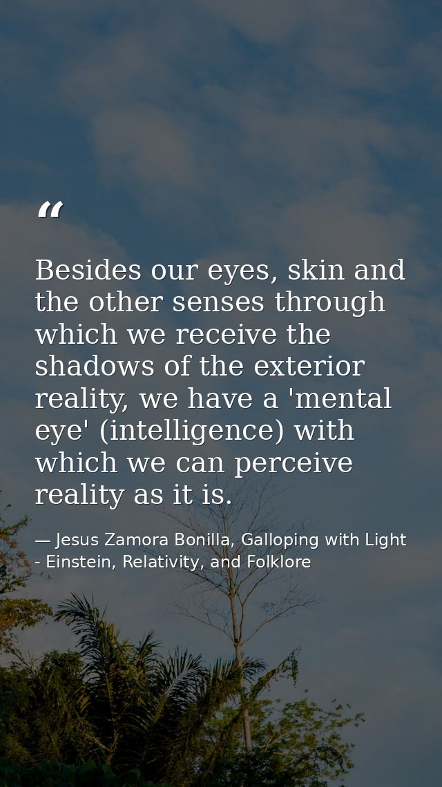 Besides our eyes, skin and the other senses through which we receive the shadows of the exterior reality, we have a 'men — Jesus Zamora Bonilla, Galloping with Light - Einstein, Relativity, and Folklore