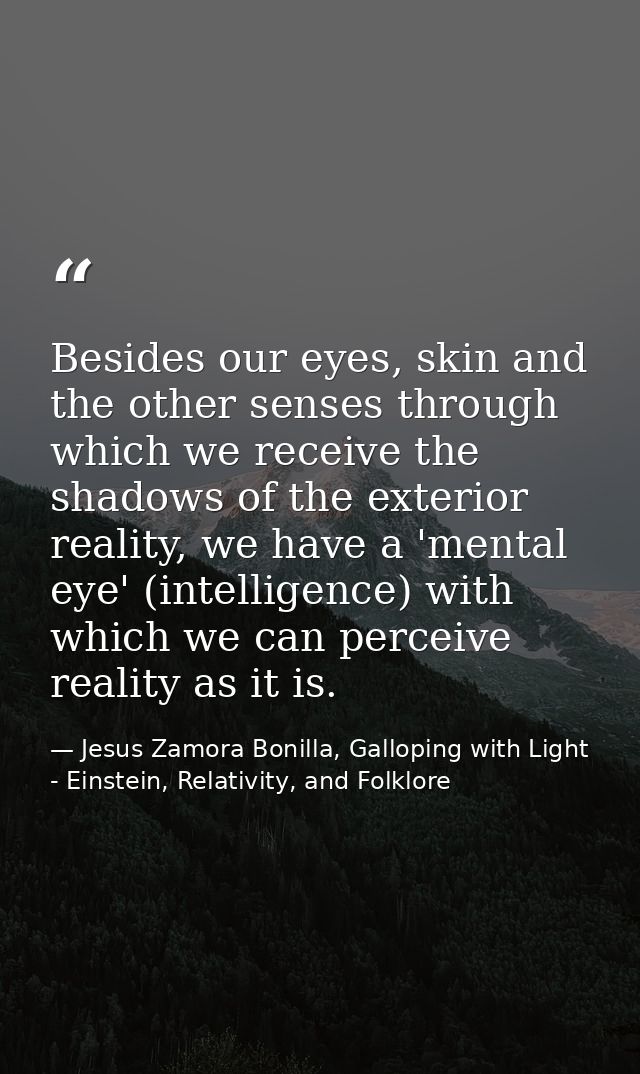 Besides our eyes, skin and the other senses through which we receive the shadows of the exterior reality, we have a 'men — Jesus Zamora Bonilla, Galloping with Light - Einstein, Relativity, and Folklore