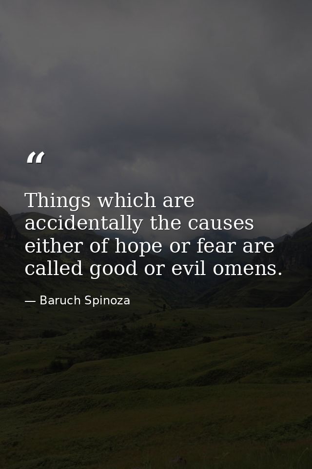Things which are accidentally the causes either of hope or fear are called good or evil omens. — Baruch Spinoza