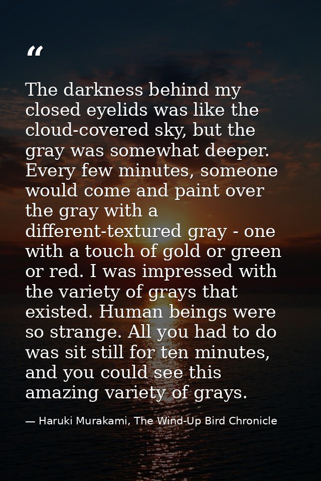 The darkness behind my closed eyelids was like the cloud-covered sky, but the gray was somewhat deeper. Every few minute — Haruki Murakami, The Wind-Up Bird Chronicle