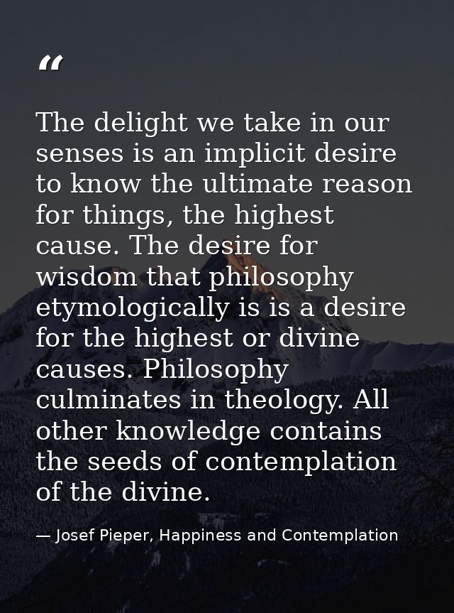 The delight we take in our senses is an implicit desire to know the ultimate reason for things, the highest cause. The d — Josef Pieper, Happiness and Contemplation