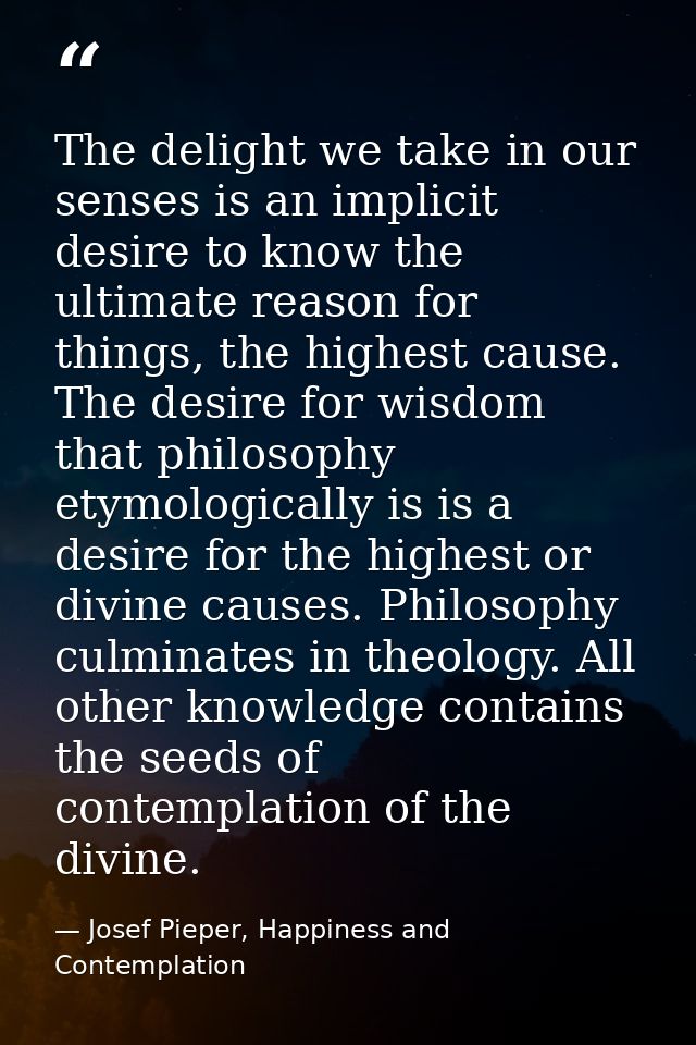 The delight we take in our senses is an implicit desire to know the ultimate reason for things, the highest cause. The d — Josef Pieper, Happiness and Contemplation