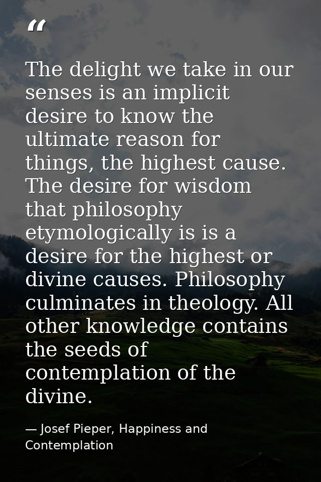 The delight we take in our senses is an implicit desire to know the ultimate reason for things, the highest cause. The d — Josef Pieper, Happiness and Contemplation