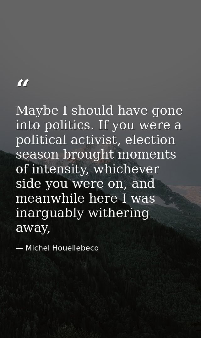 Maybe I should have gone into politics. If you were a political activist, election season brought moments of intensity,  — Michel Houellebecq