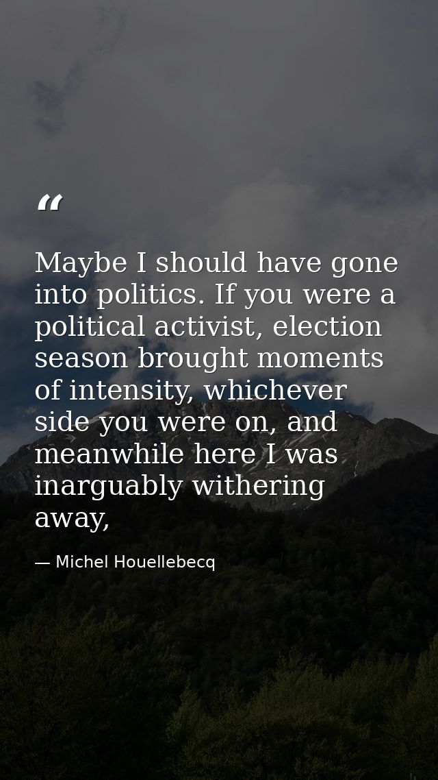 Maybe I should have gone into politics. If you were a political activist, election season brought moments of intensity,  — Michel Houellebecq