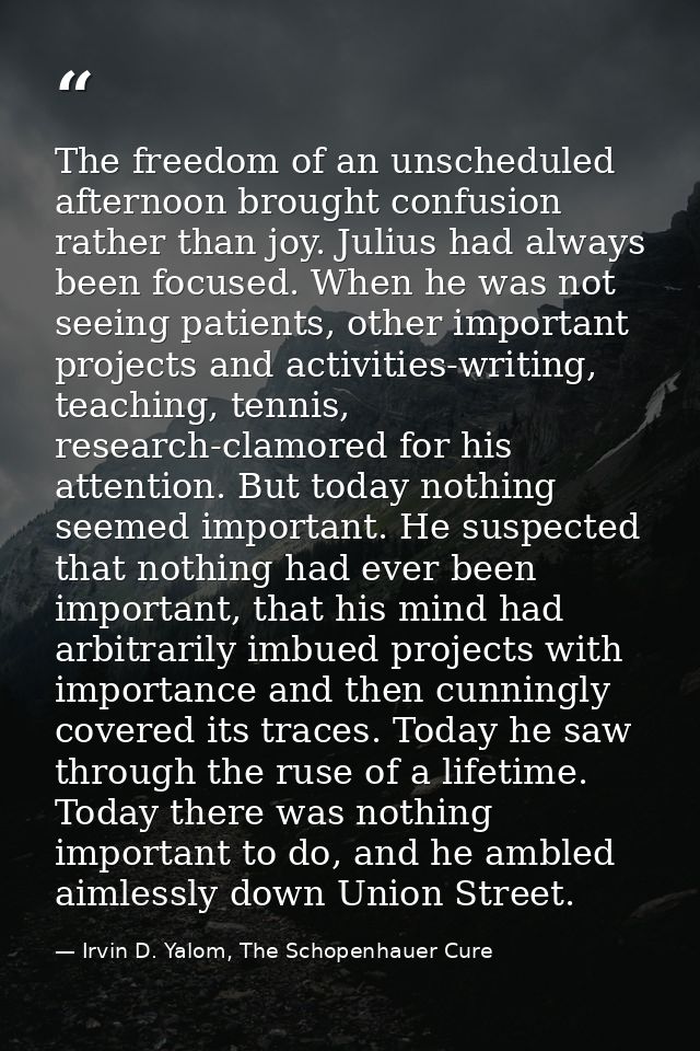 The freedom of an unscheduled afternoon brought confusion rather than joy. Julius had always been focused. When he was n — Irvin D. Yalom, The Schopenhauer Cure