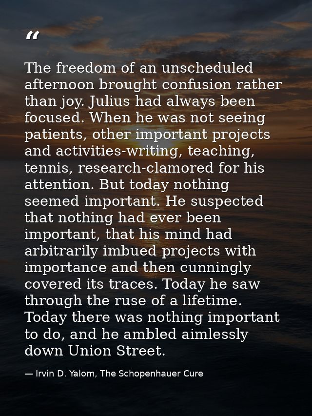 The freedom of an unscheduled afternoon brought confusion rather than joy. Julius had always been focused. When he was n — Irvin D. Yalom, The Schopenhauer Cure