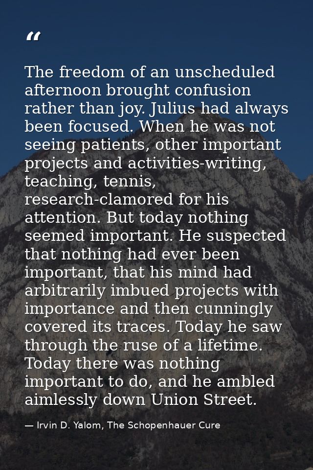 The freedom of an unscheduled afternoon brought confusion rather than joy. Julius had always been focused. When he was n — Irvin D. Yalom, The Schopenhauer Cure