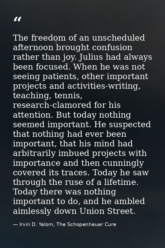 The freedom of an unscheduled afternoon brought confusion rather than joy. Julius had always been focused. When he was n — Irvin D. Yalom, The Schopenhauer Cure