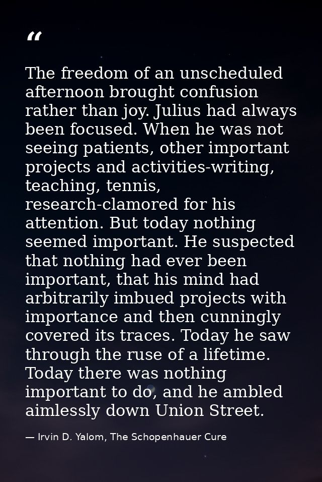 The freedom of an unscheduled afternoon brought confusion rather than joy. Julius had always been focused. When he was n — Irvin D. Yalom, The Schopenhauer Cure
