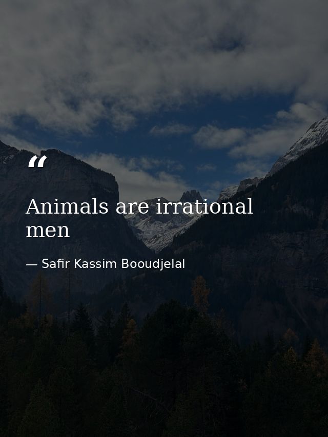 Animals are irrational men — Safir Kassim Booudjelal
