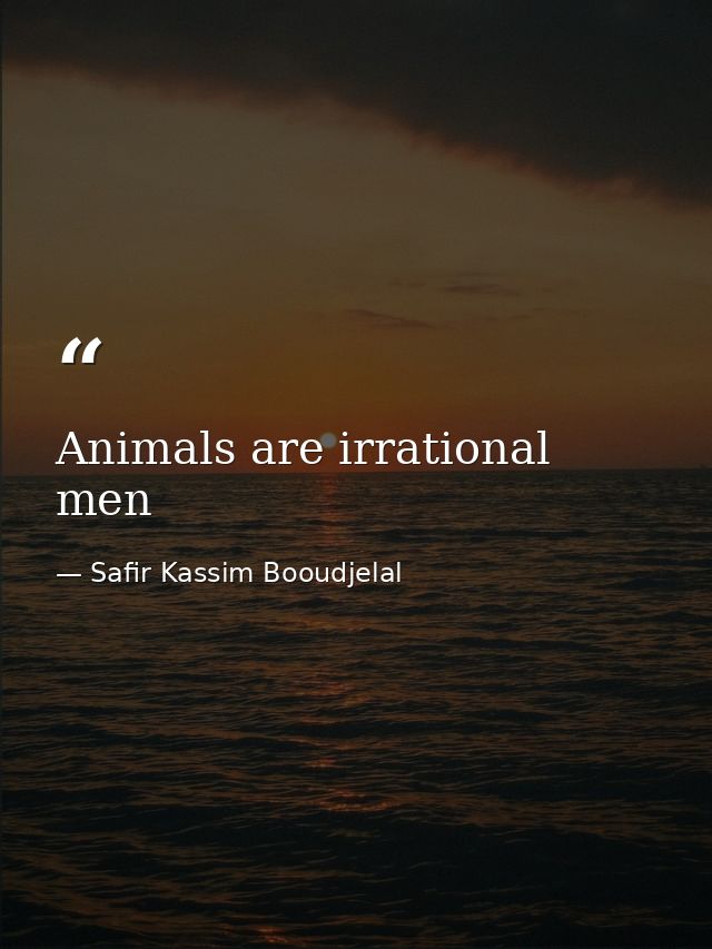 Animals are irrational men — Safir Kassim Booudjelal