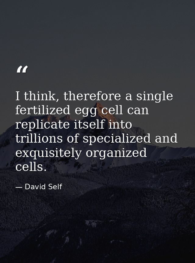 I think, therefore a single fertilized egg cell can replicate itself into trillions of specialized and exquisitely organ — David Self