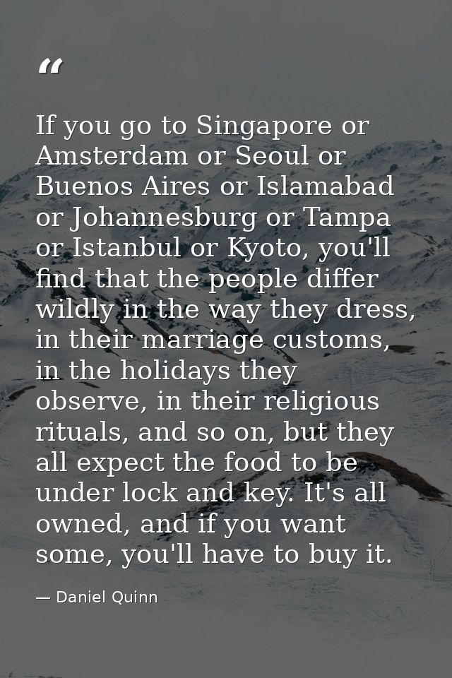 If you go to Singapore or Amsterdam or Seoul or Buenos Aires or Islamabad or Johannesburg or Tampa or Istanbul or Kyoto, — Daniel Quinn