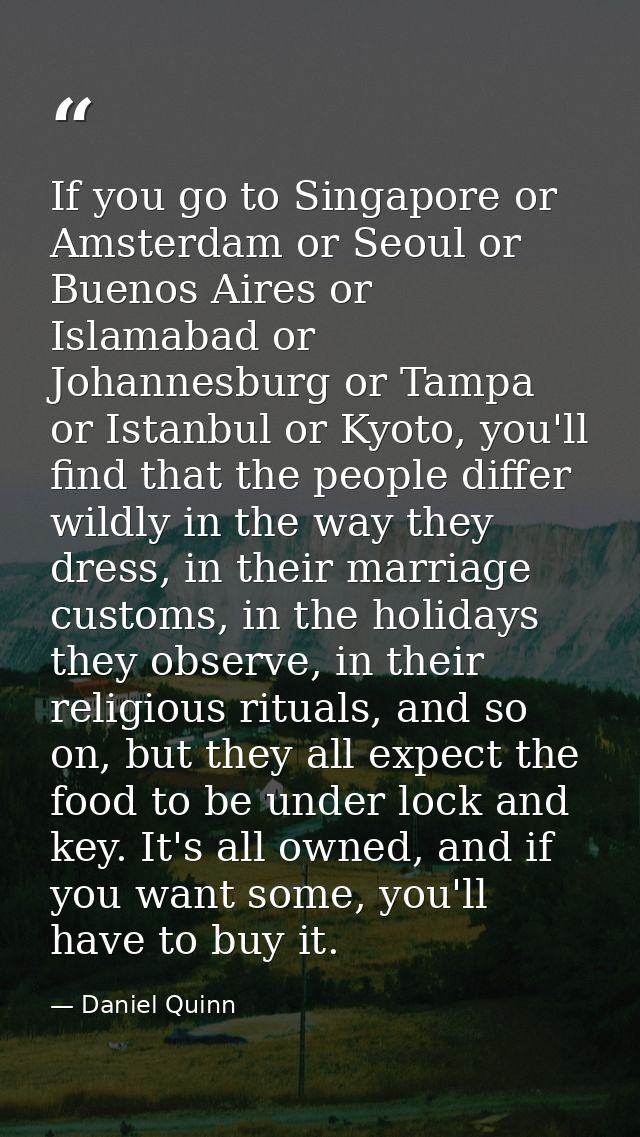 If you go to Singapore or Amsterdam or Seoul or Buenos Aires or Islamabad or Johannesburg or Tampa or Istanbul or Kyoto, — Daniel Quinn