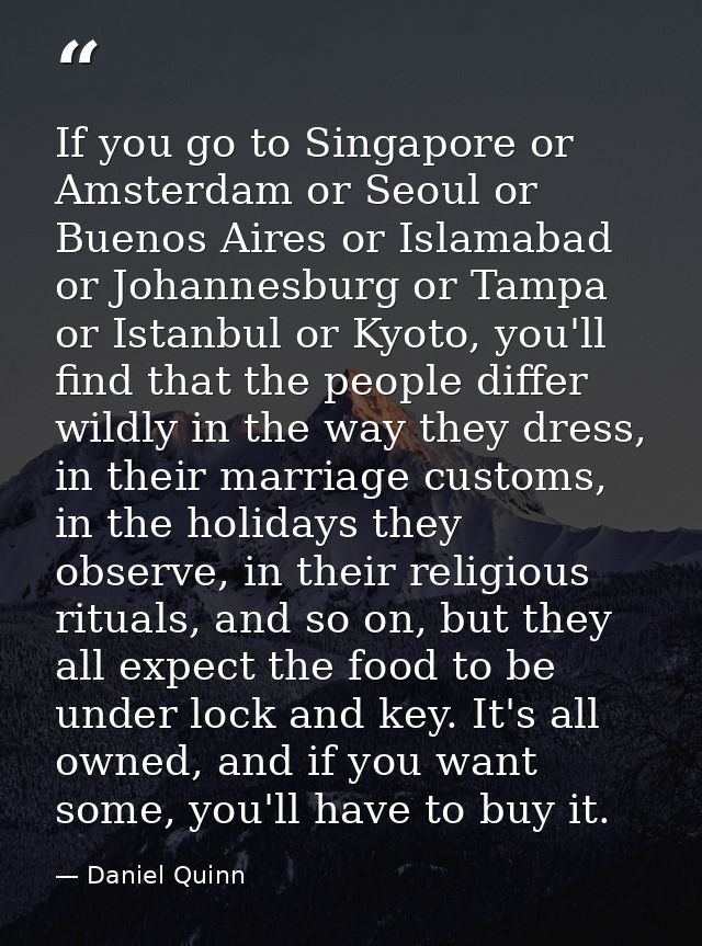If you go to Singapore or Amsterdam or Seoul or Buenos Aires or Islamabad or Johannesburg or Tampa or Istanbul or Kyoto, — Daniel Quinn