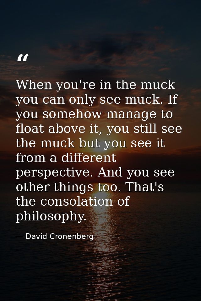 When you're in the muck you can only see muck. If you somehow manage to float above it, you still see the muck but you s — David Cronenberg