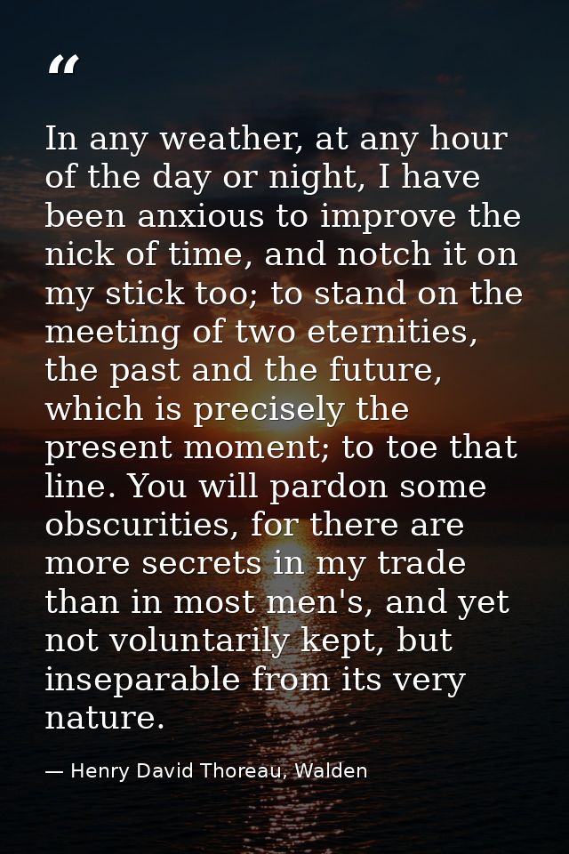 In any weather, at any hour of the day or night, I have been anxious to improve the nick of time, and notch it on my sti — Henry David Thoreau, Walden