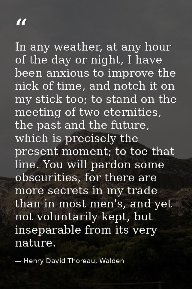 In any weather, at any hour of the day or night, I have been anxious to improve the nick of time, and notch it on my sti — Henry David Thoreau, Walden