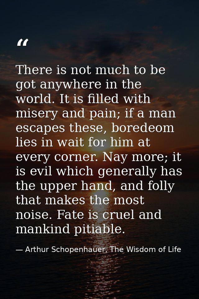 There is not much to be got anywhere in the world. It is filled with misery and pain; if a man escapes these, boredeom l — Arthur Schopenhauer, The Wisdom of Life