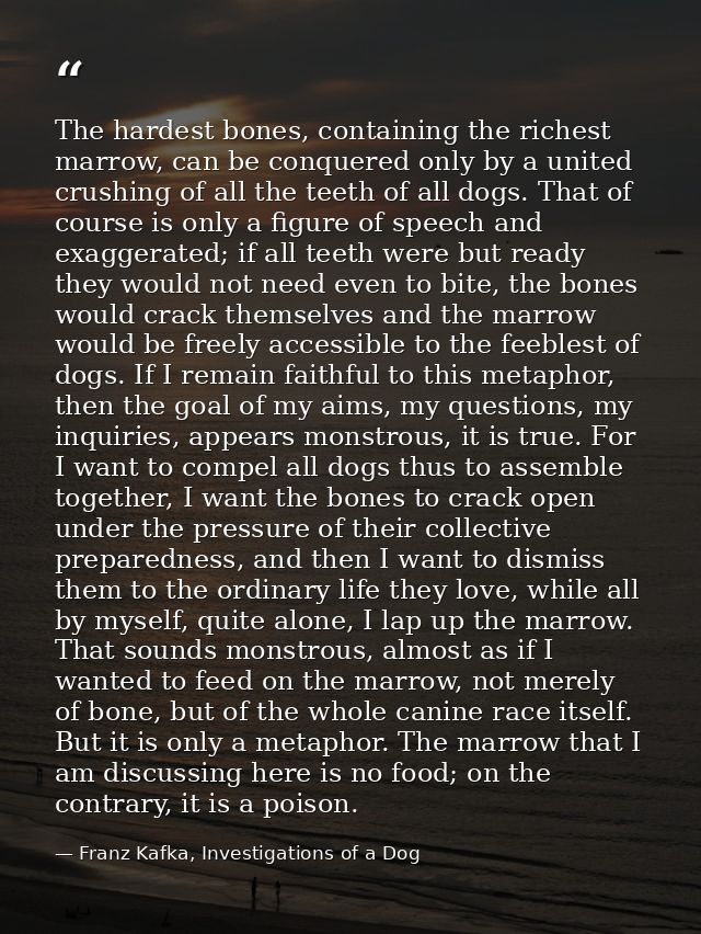 The hardest bones, containing the richest marrow, can be conquered only by a united crushing of all the teeth of all dog — Franz Kafka, Investigations of a Dog