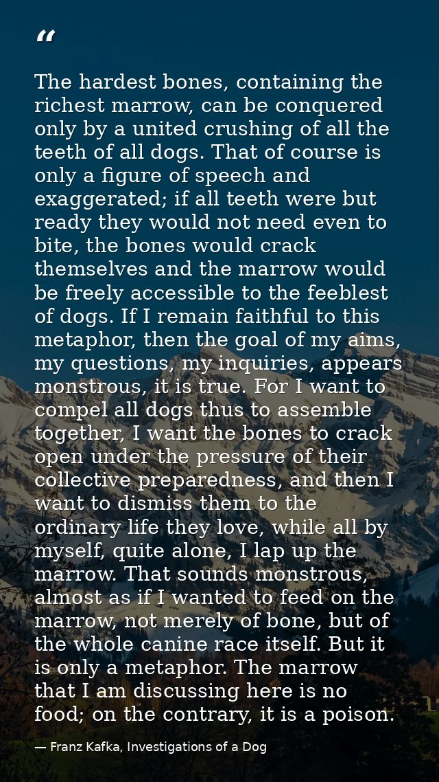 The hardest bones, containing the richest marrow, can be conquered only by a united crushing of all the teeth of all dog — Franz Kafka, Investigations of a Dog