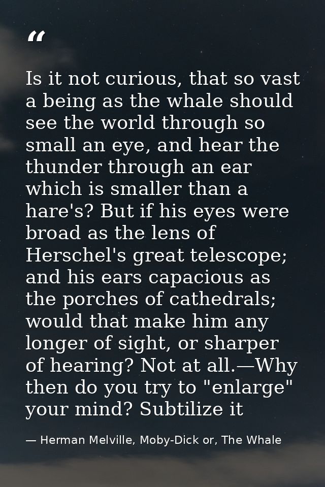 Is it not curious, that so vast a being as the whale should see the world through so small an eye, and hear the thunder  — Herman Melville, Moby-Dick or, The Whale