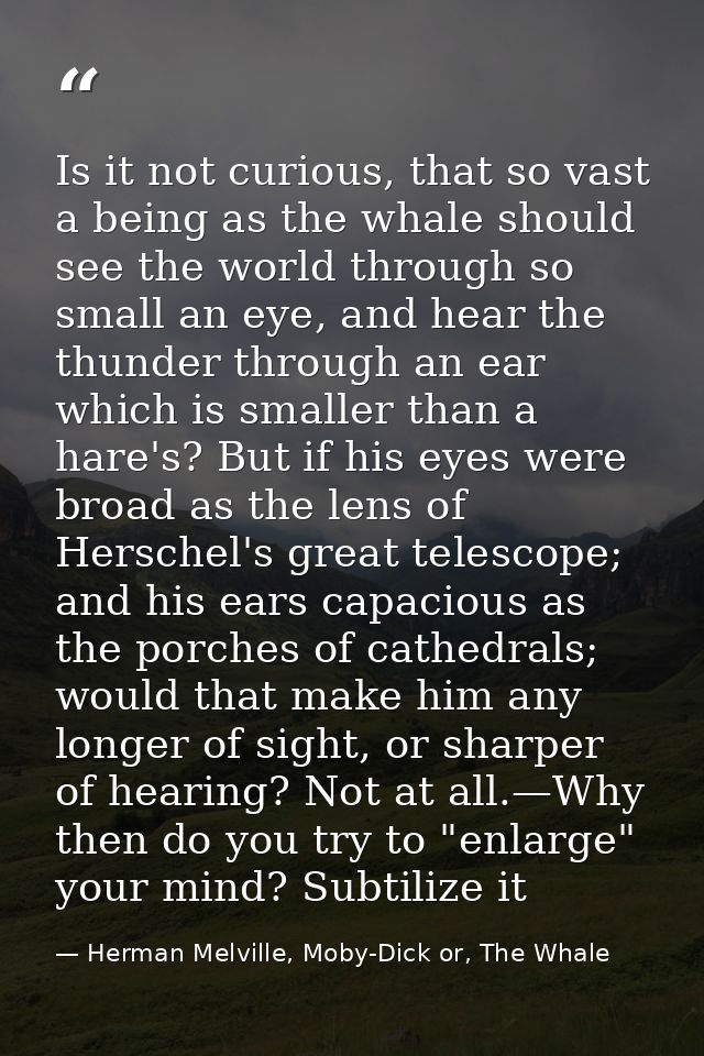 Is it not curious, that so vast a being as the whale should see the world through so small an eye, and hear the thunder  — Herman Melville, Moby-Dick or, The Whale
