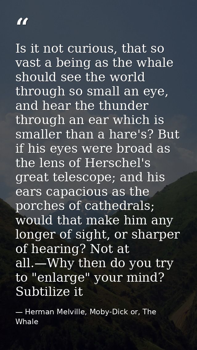 Is it not curious, that so vast a being as the whale should see the world through so small an eye, and hear the thunder  — Herman Melville, Moby-Dick or, The Whale