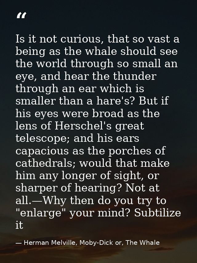 Is it not curious, that so vast a being as the whale should see the world through so small an eye, and hear the thunder  — Herman Melville, Moby-Dick or, The Whale