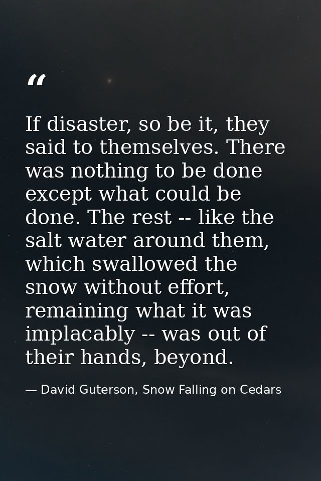 If disaster, so be it, they said to themselves. There was nothing to be done except what could be done. The rest -- like — David Guterson, Snow Falling on Cedars