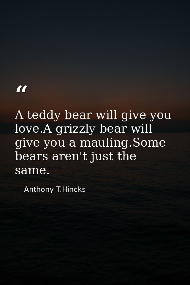 A teddy bear will give you love.A grizzly bear will give you a mauling.Some bears aren't just the same. — Anthony T.Hincks